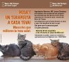 Foto de la Galeria