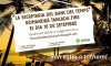 Foto de la Galeria