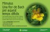 Foto de la Galeria