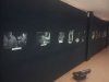 Imatges de la mostra