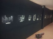 Imatges de la mostra