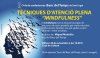 Cartell xerrada Mindfulness